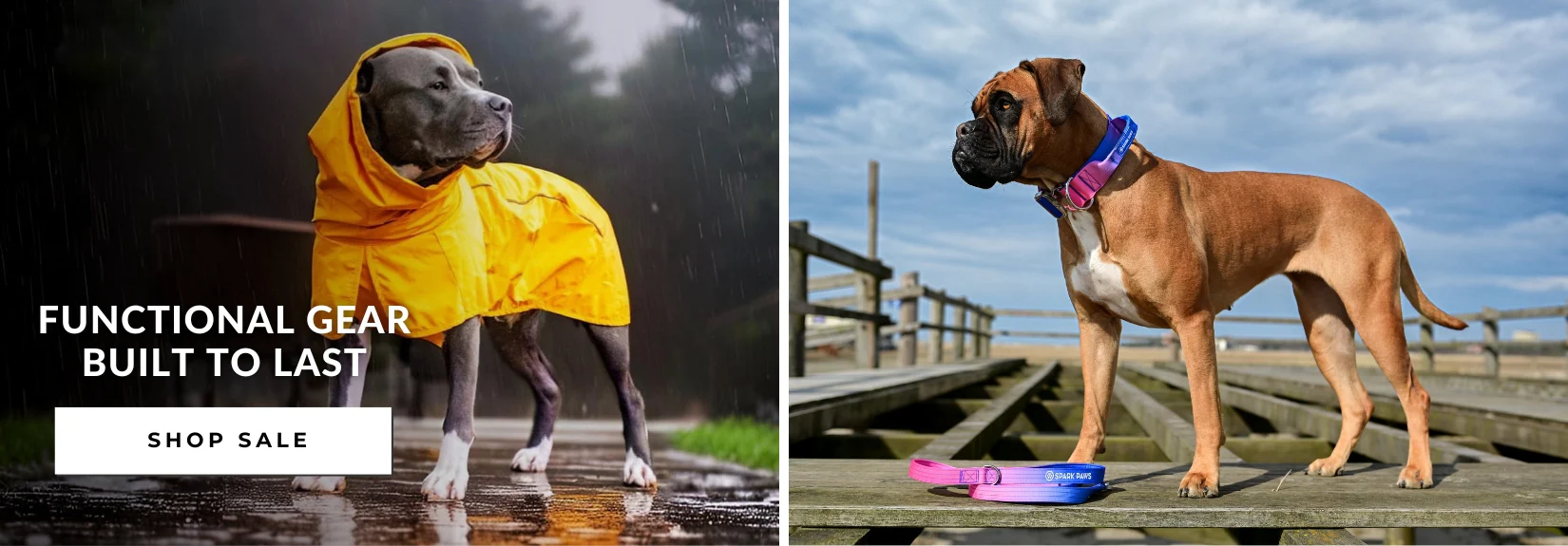Style That Speaks To Pets