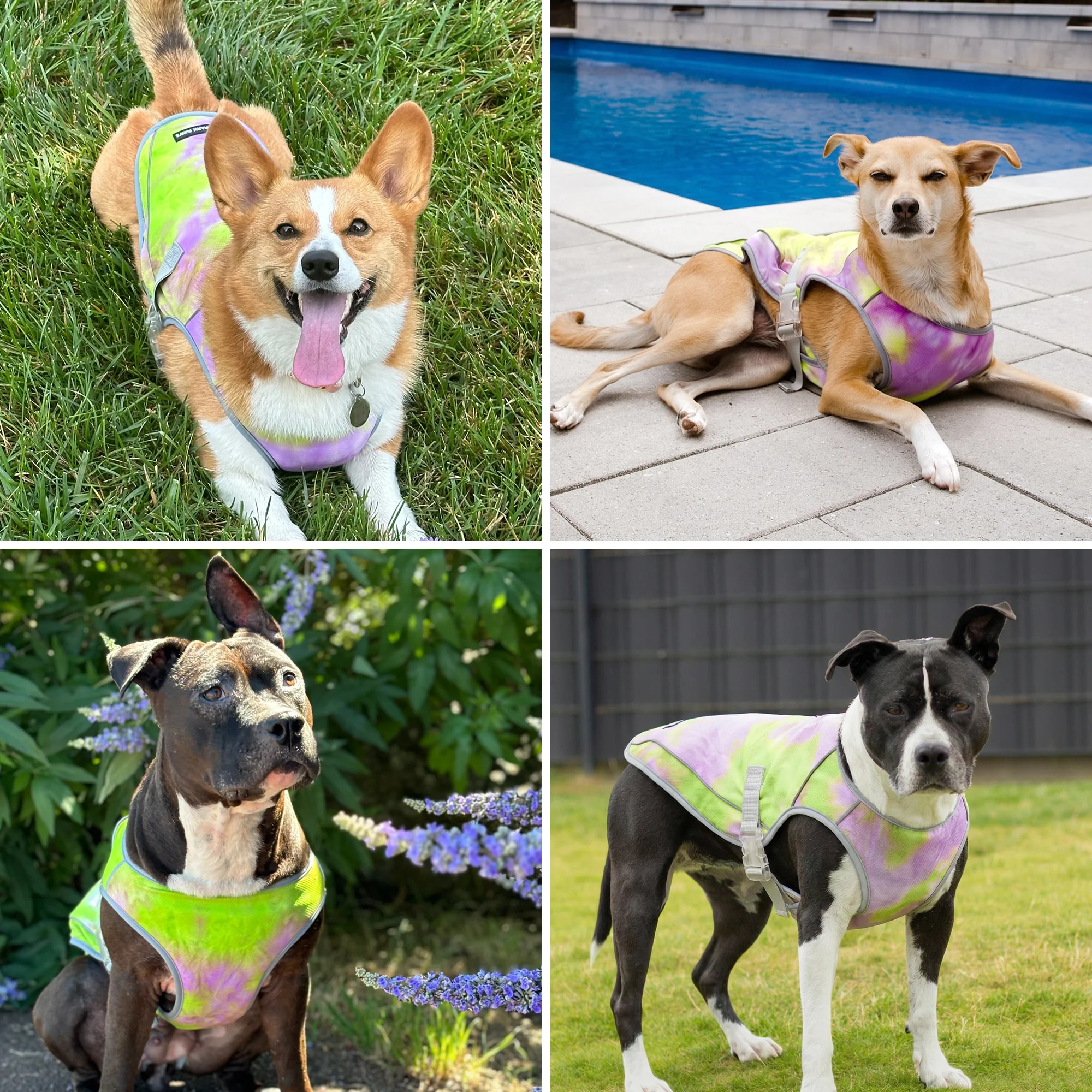 Thumbnail 42