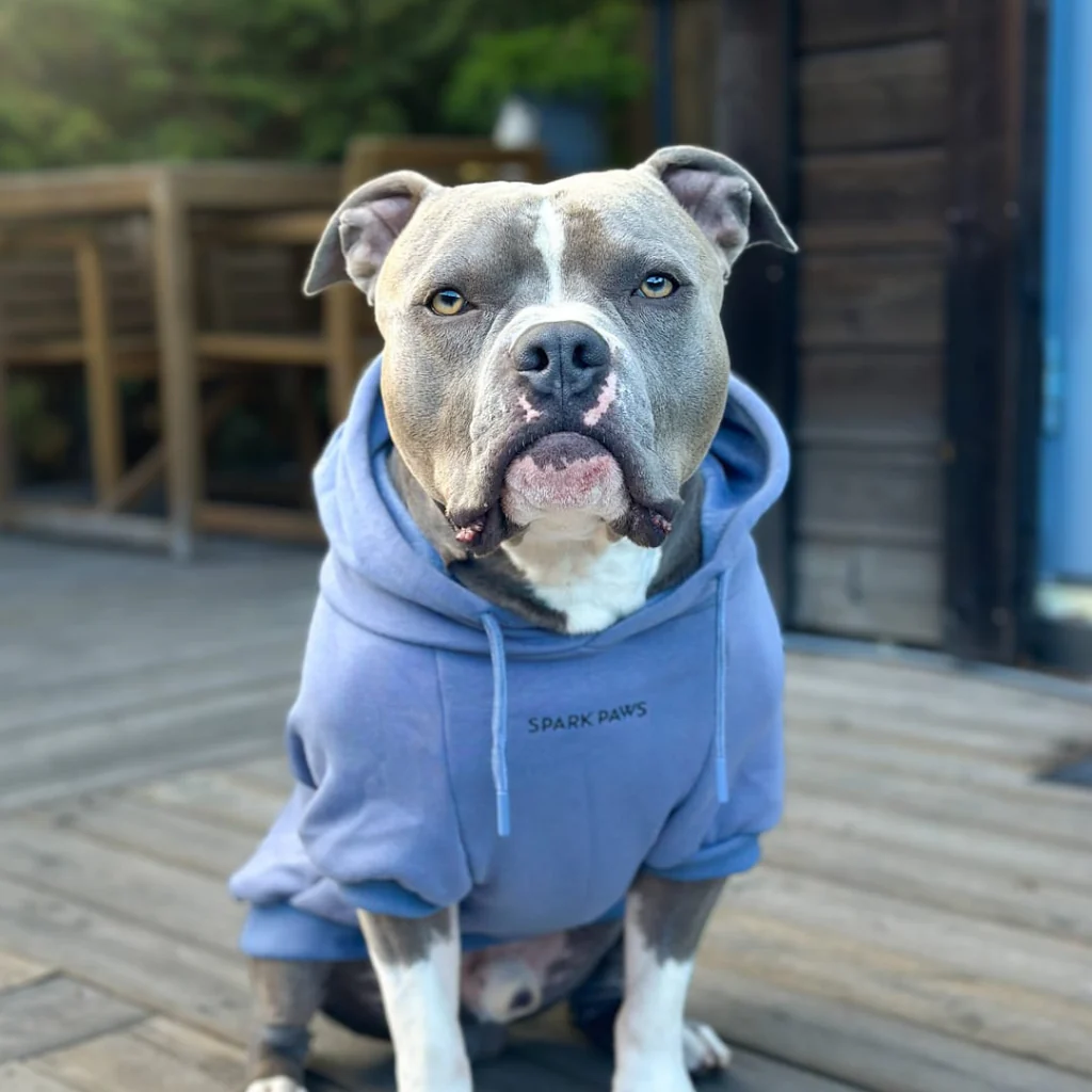 Thumbnail 35