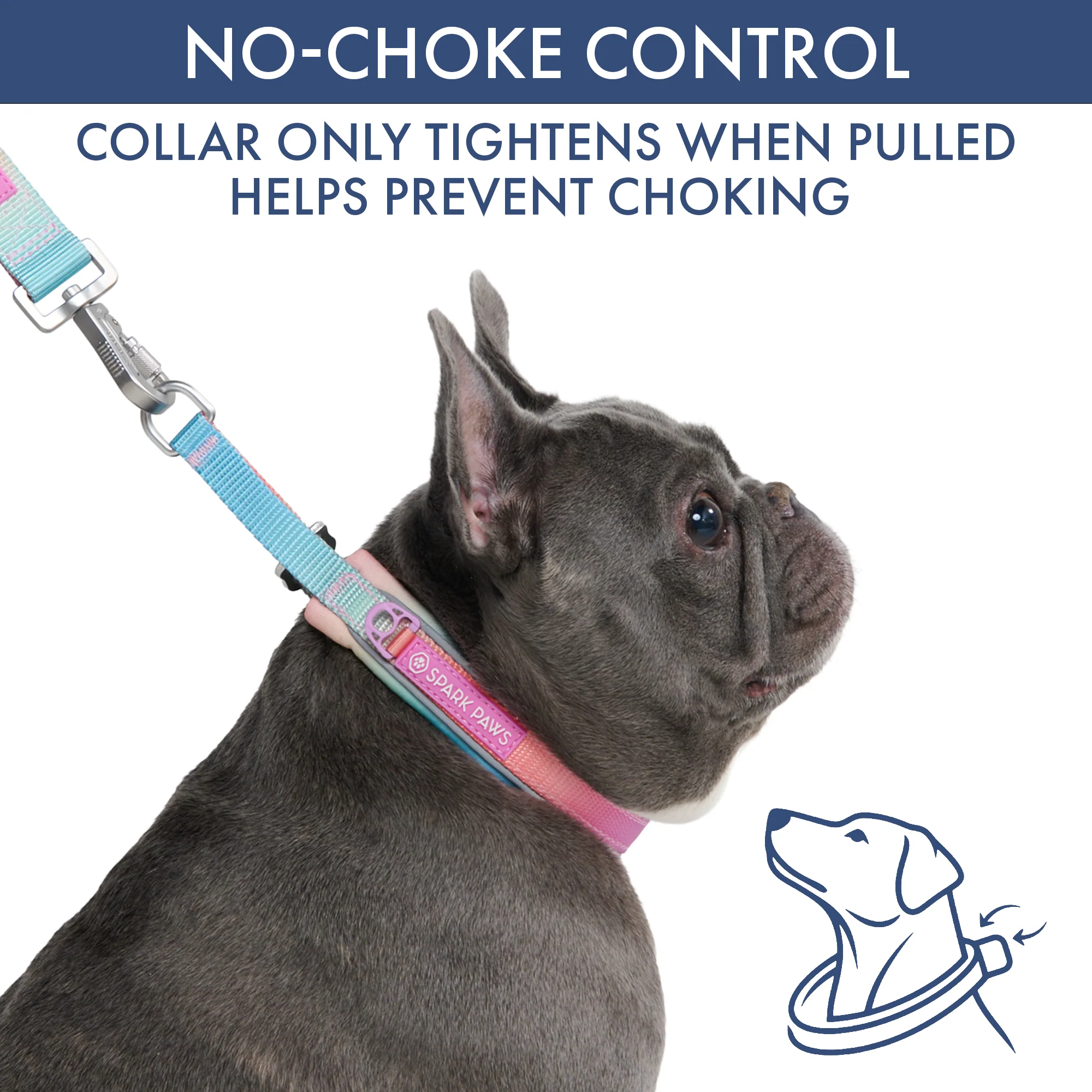 Thumbnail 22